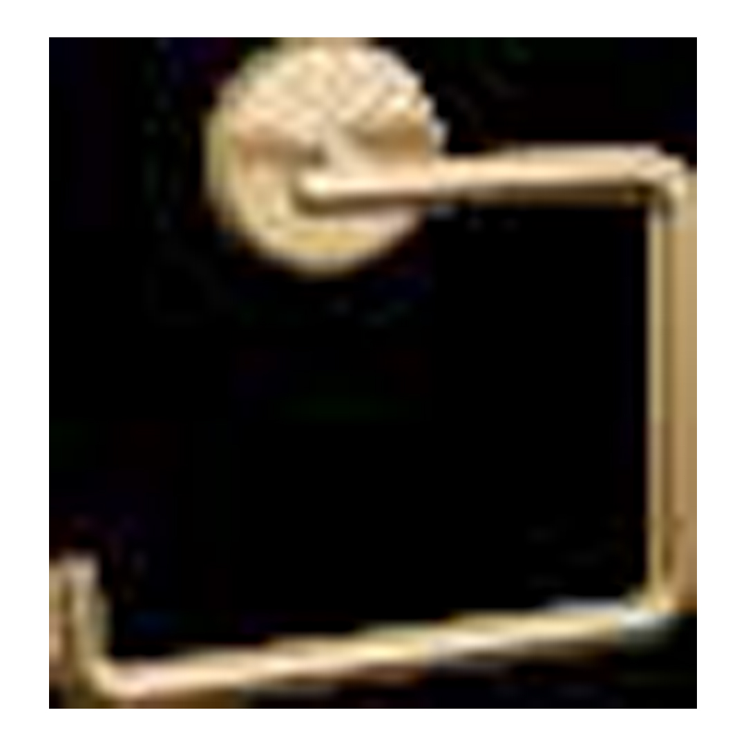 Trinsic Towel Ring